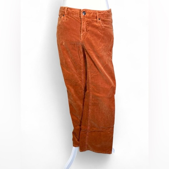 Wild Fable Burnt Orange Corduroy Low Rise Flare Fit Pants - Picture 1 of 5